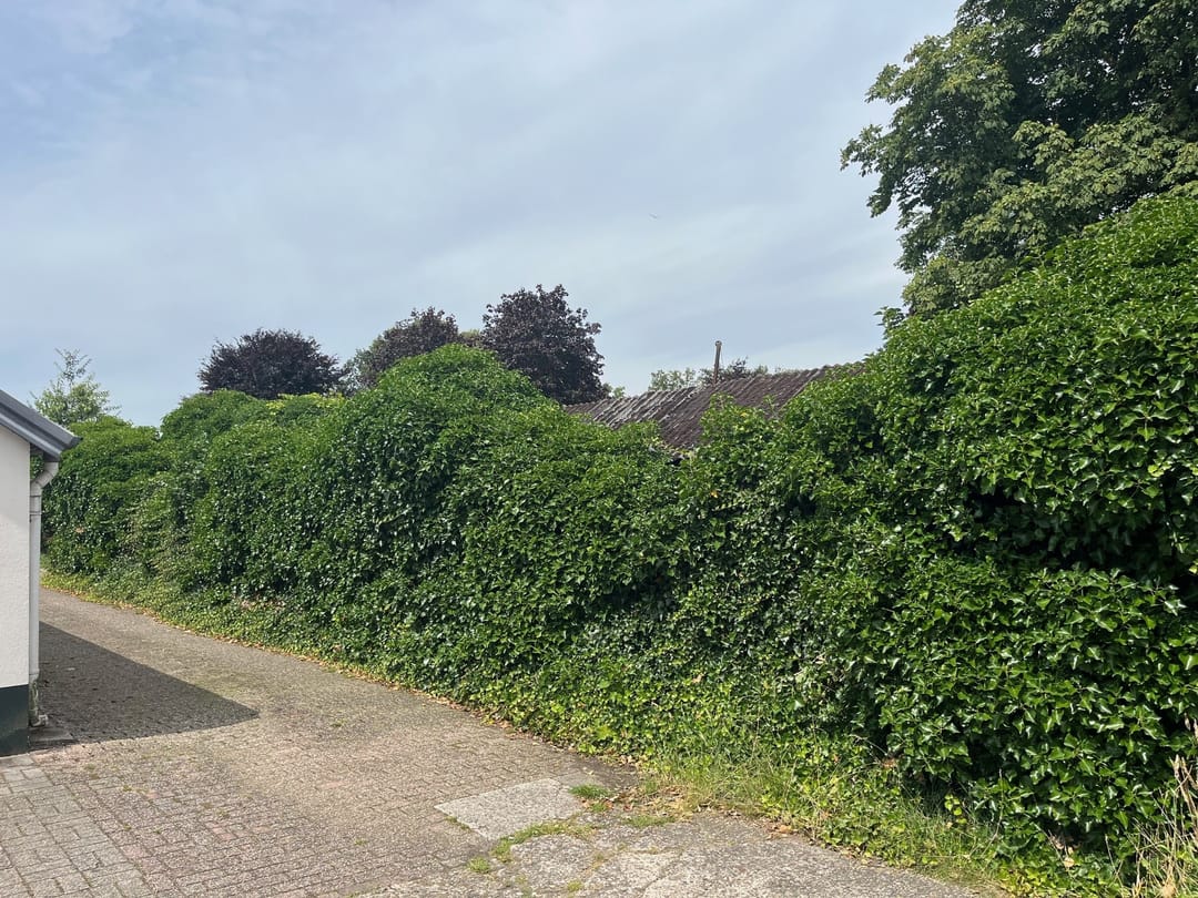 Photo 8 of Vilstersedijk 18-B