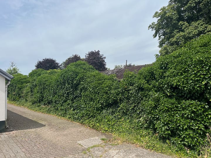 Foto 7 van Vilstersedijk 18-B