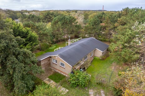 undefined main image