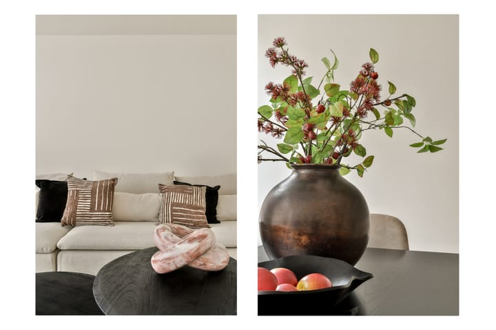 Foto 5 van Reestraat 11-1