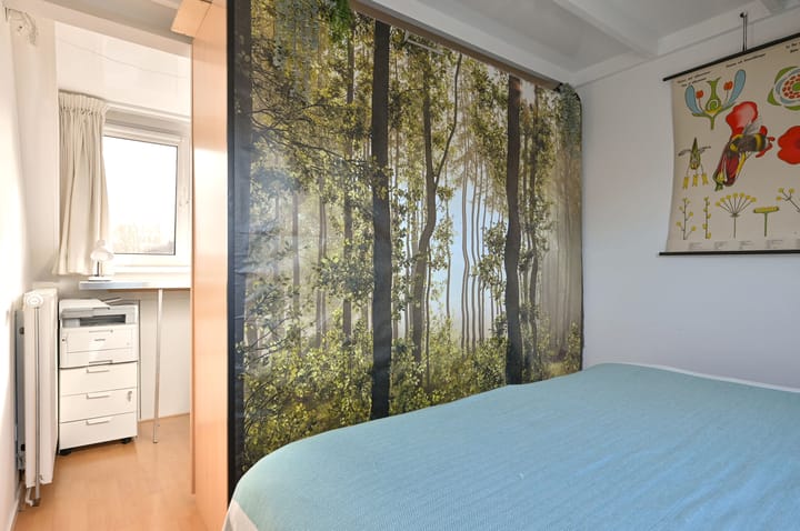 Photo 15 of Heemraad 11