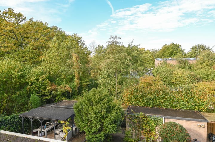 Photo 19 of Heemraad 11