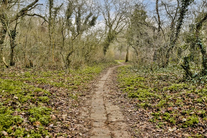 Photo 42 of Julianaweg 8