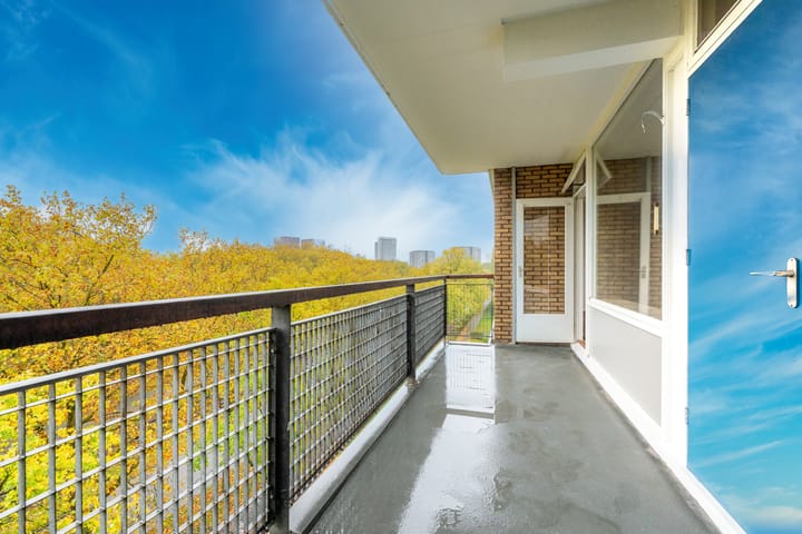 Foto 9 van Livingstonelaan 556