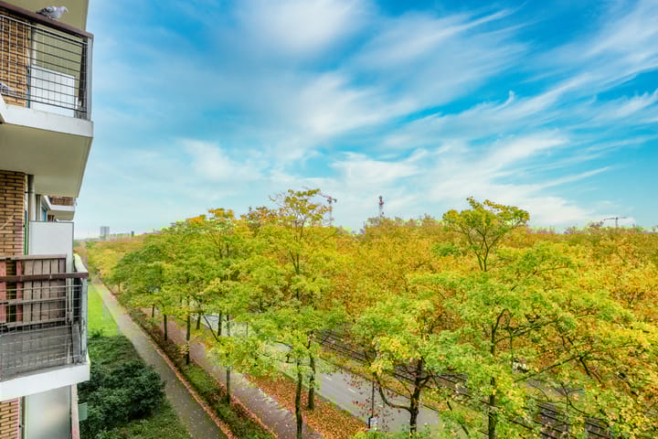 Foto 10 van Livingstonelaan 556