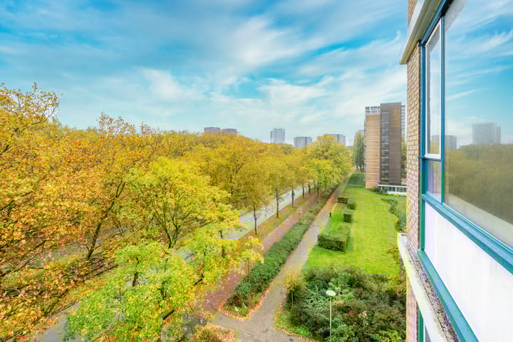 Foto 11 van Livingstonelaan 556