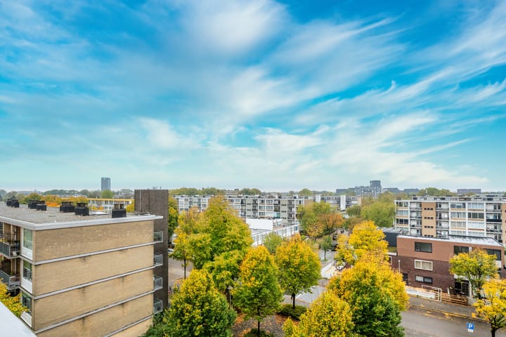 Foto 29 van Livingstonelaan 556