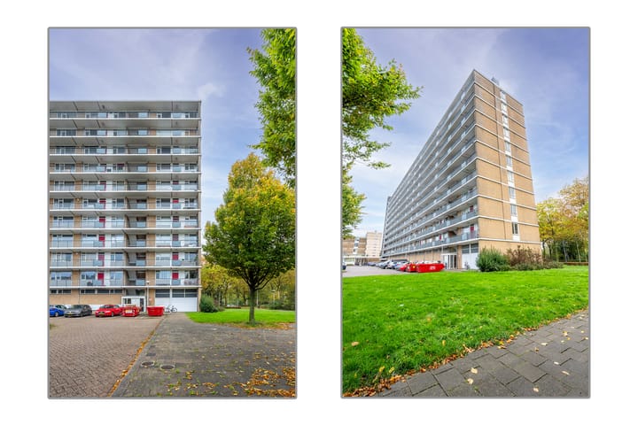 Foto 34 van Livingstonelaan 556