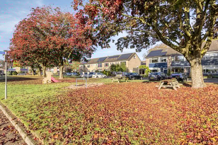 Foto 34 van het Gulik 5