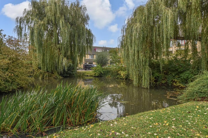 Foto 51 van Trompet 2