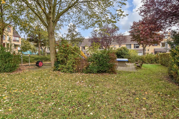 Foto 52 van Trompet 2