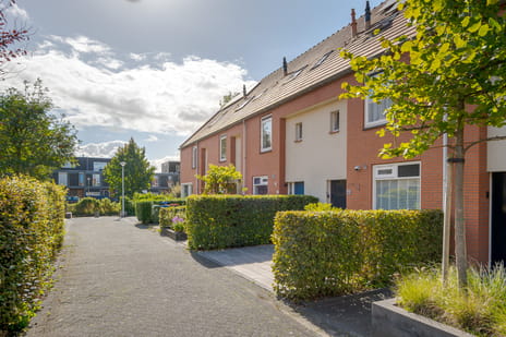 undefined main image