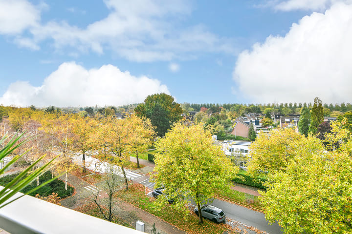 Foto 9 van Kalslagerring 155