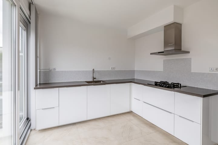 Foto 2 van Zilverdistel 11