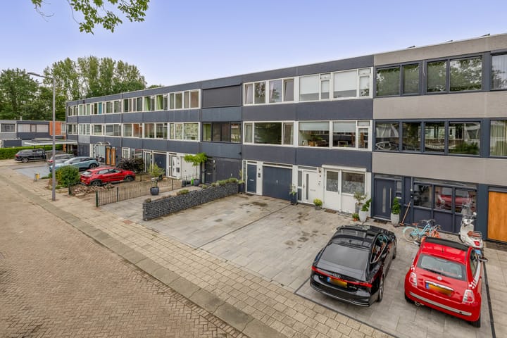 Foto 5 van Zilverdistel 11