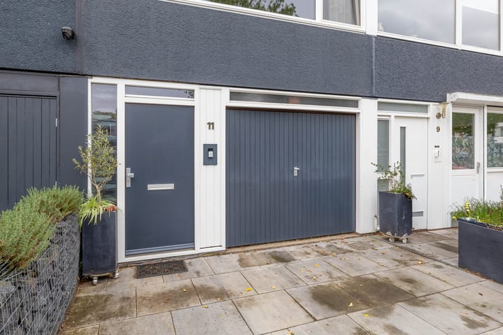 Foto 6 van Zilverdistel 11