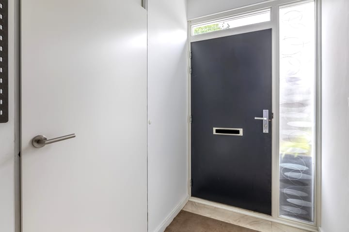 Foto 7 van Zilverdistel 11