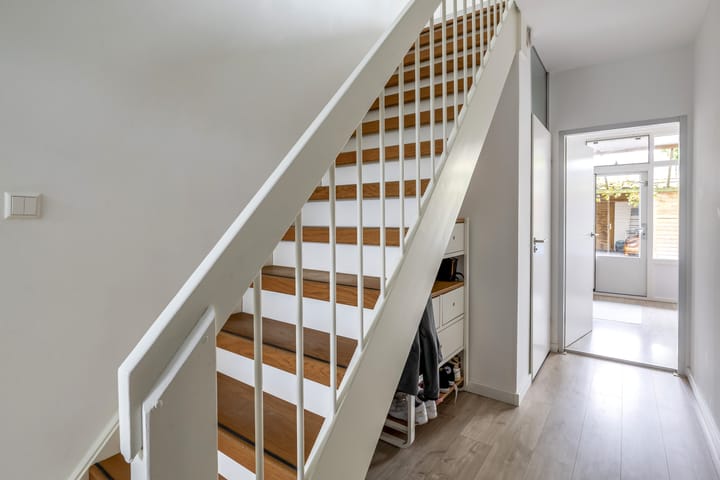 Foto 8 van Zilverdistel 11