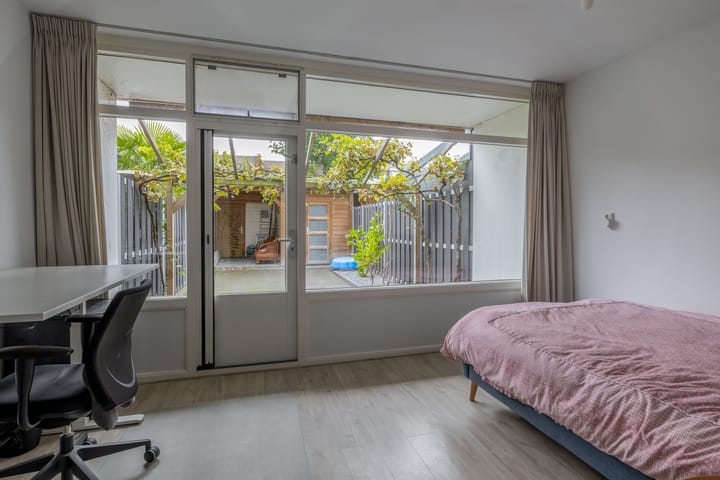 Foto 9 van Zilverdistel 11