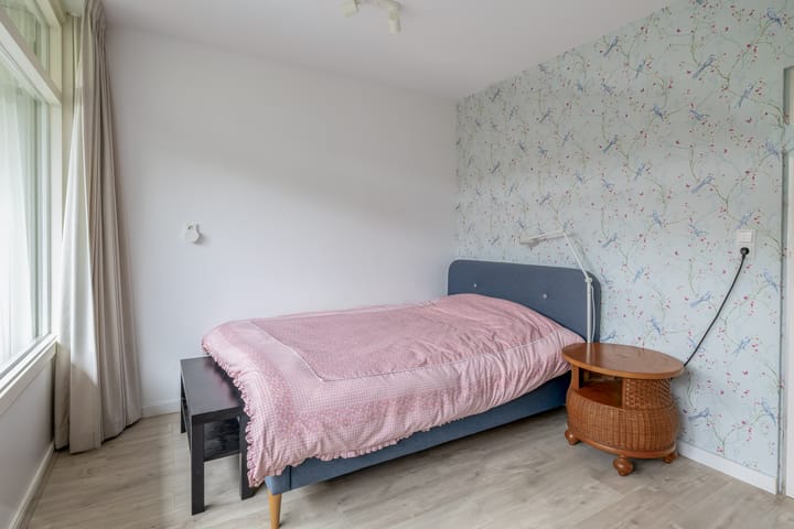 Foto 10 van Zilverdistel 11