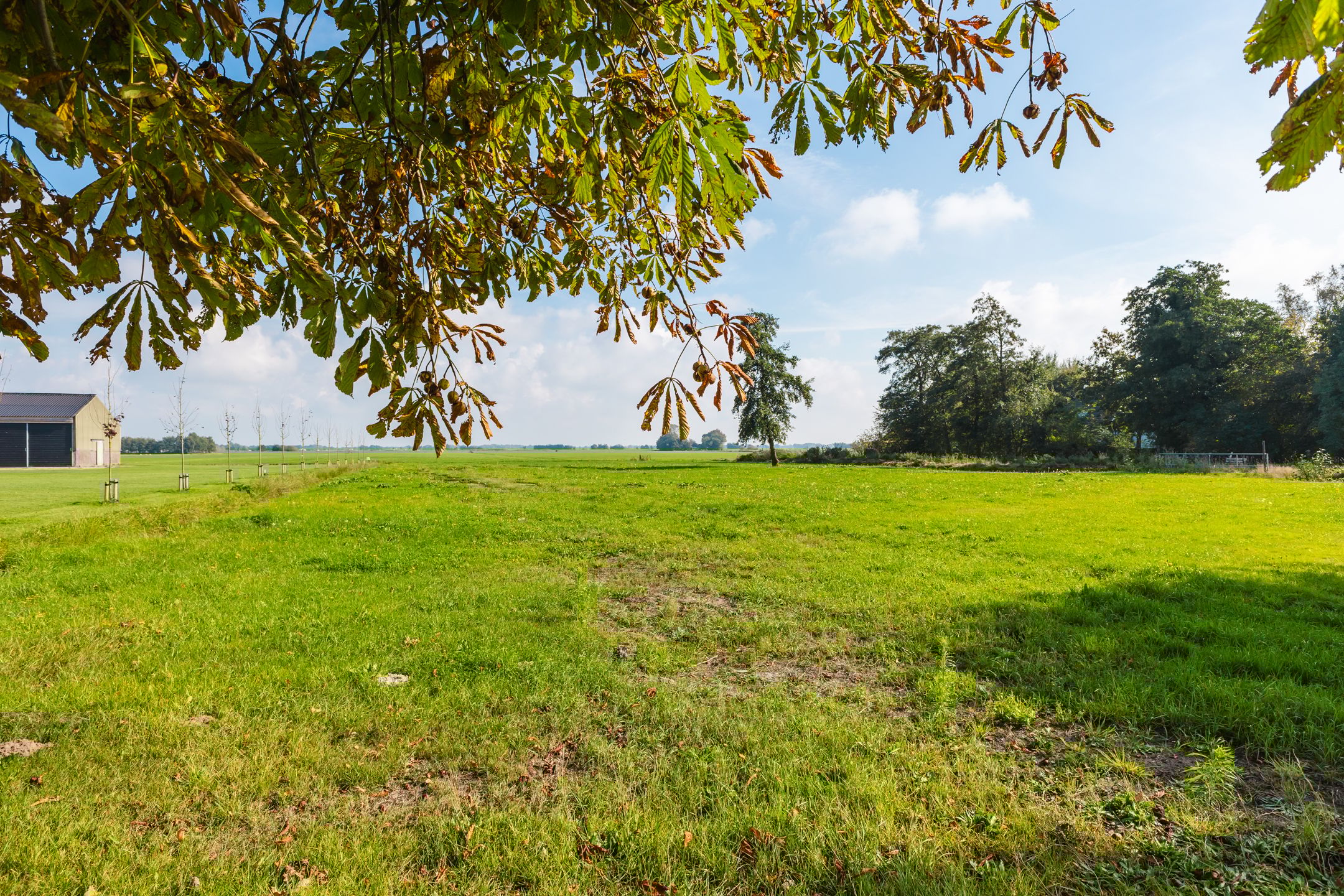 Foto 15 van De Plasse 16