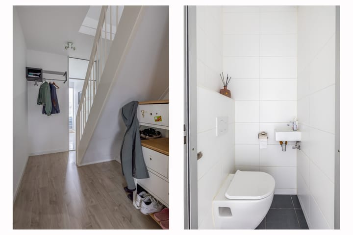 Foto 11 van Zilverdistel 11