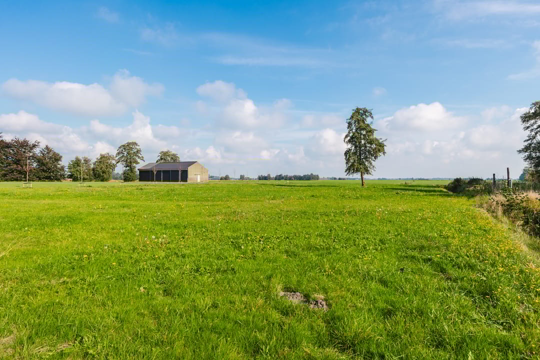 Foto 16 van De Plasse 16