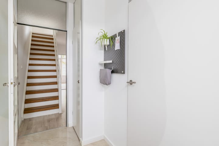 Foto 12 van Zilverdistel 11