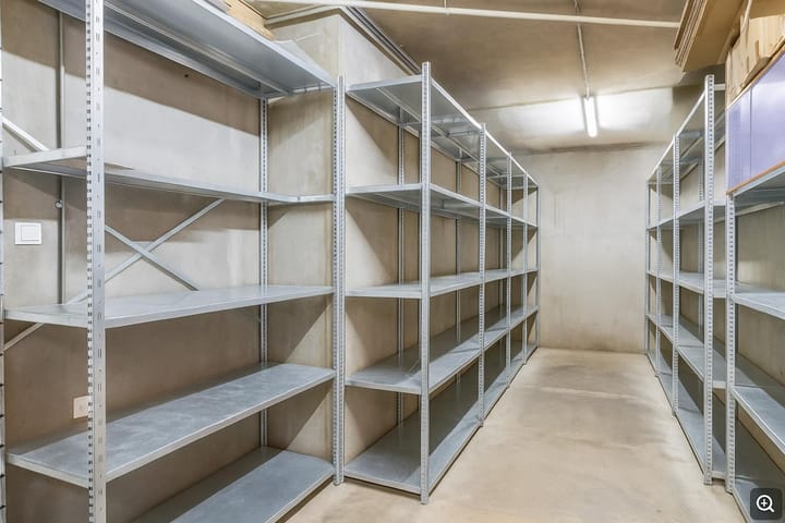 Foto 13 van Zilverdistel 11