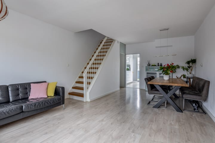 Foto 14 van Zilverdistel 11