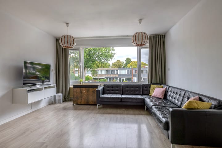 Foto 15 van Zilverdistel 11