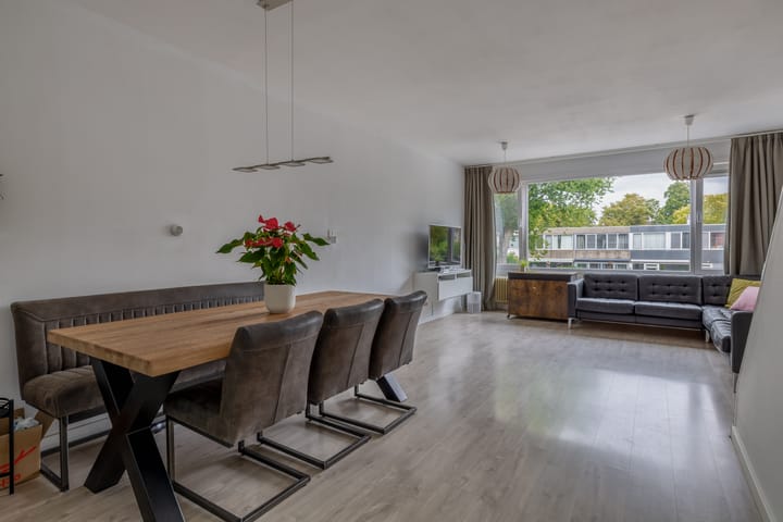 Foto 17 van Zilverdistel 11