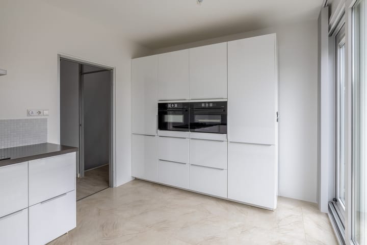 Foto 19 van Zilverdistel 11