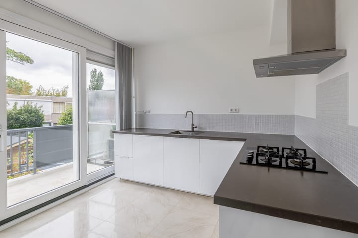 Foto 20 van Zilverdistel 11