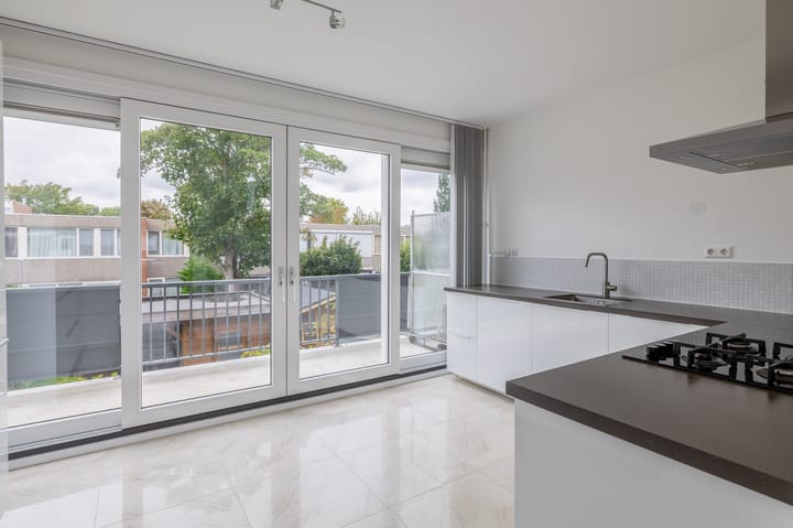 Foto 21 van Zilverdistel 11