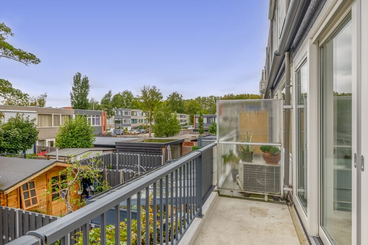 Foto 22 van Zilverdistel 11