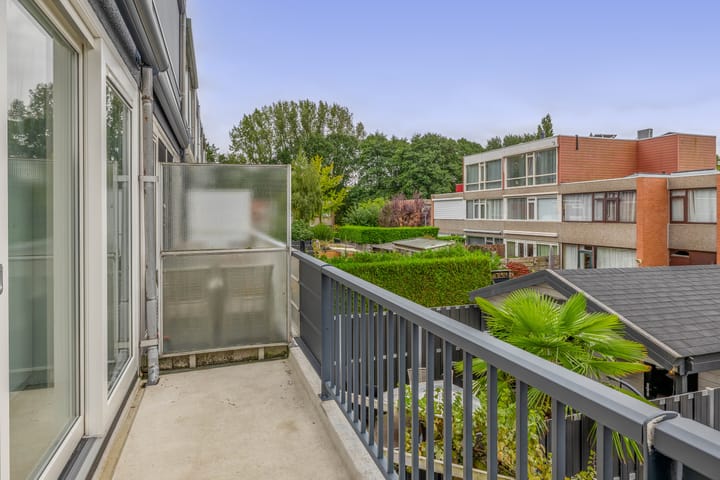 Foto 23 van Zilverdistel 11