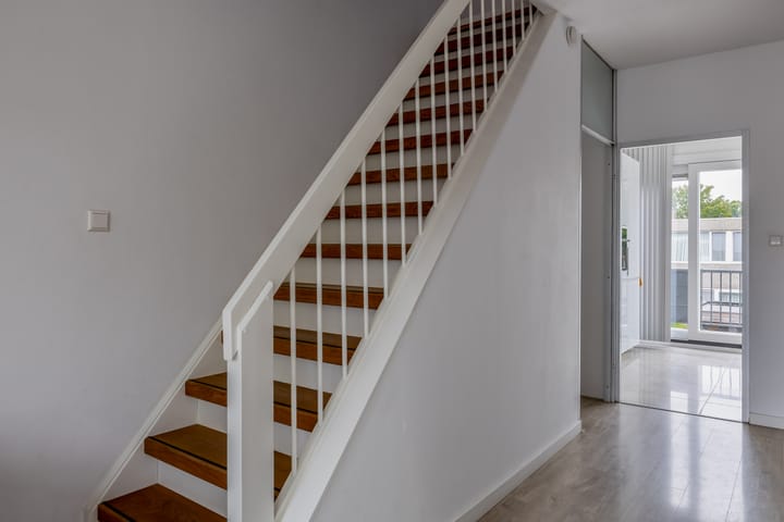 Foto 24 van Zilverdistel 11