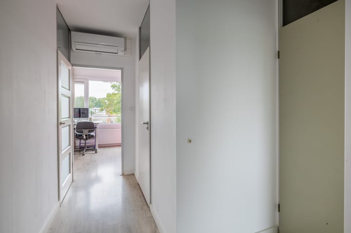 Foto 25 van Zilverdistel 11