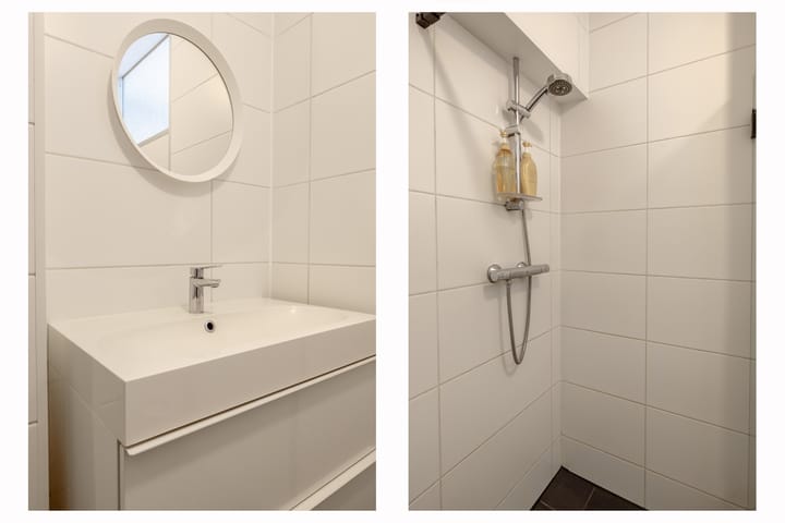 Foto 28 van Zilverdistel 11