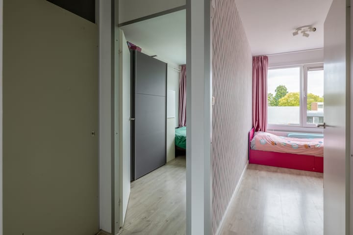 Foto 29 van Zilverdistel 11