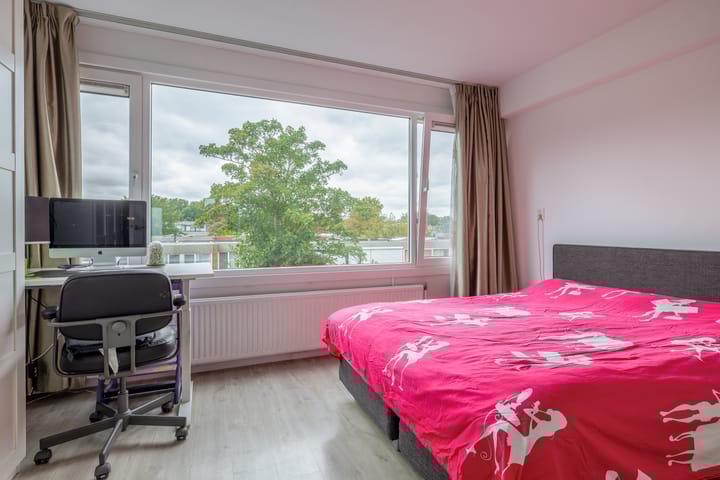 Foto 30 van Zilverdistel 11