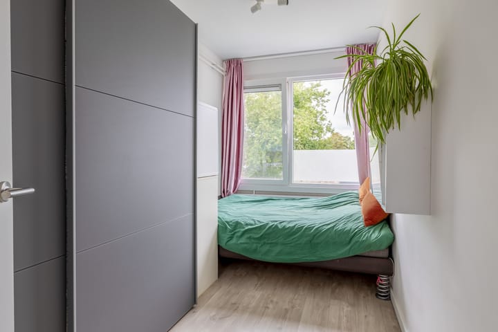 Foto 32 van Zilverdistel 11