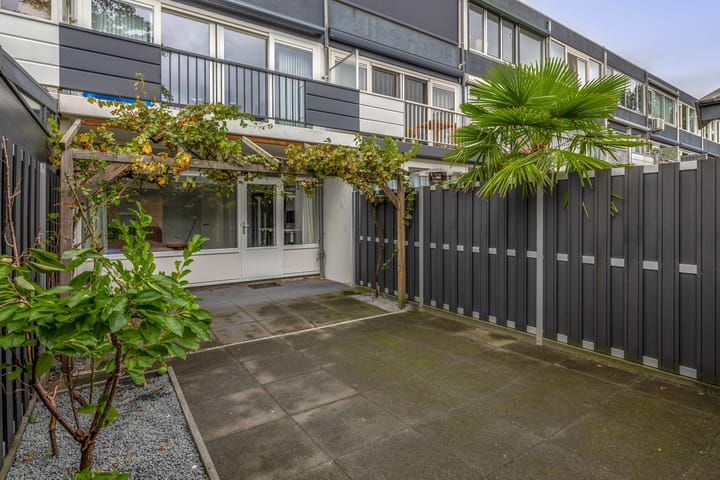 Foto 35 van Zilverdistel 11