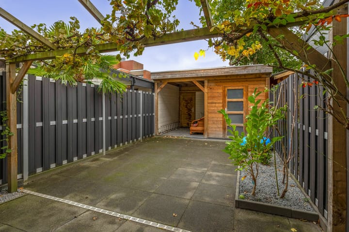 Foto 37 van Zilverdistel 11