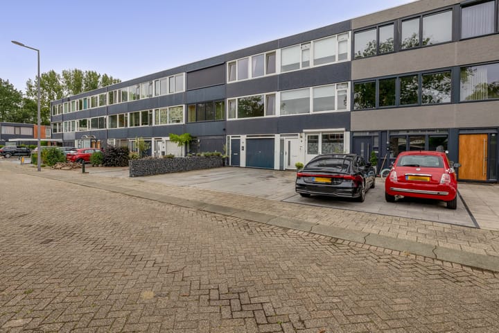 Foto 39 van Zilverdistel 11