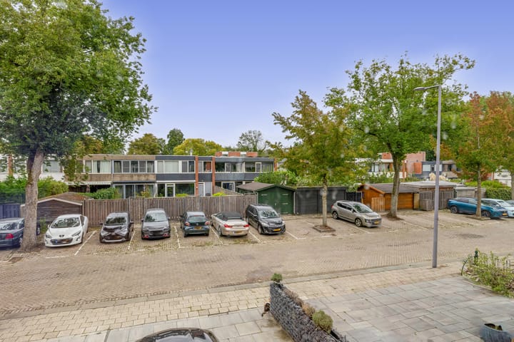 Foto 42 van Zilverdistel 11