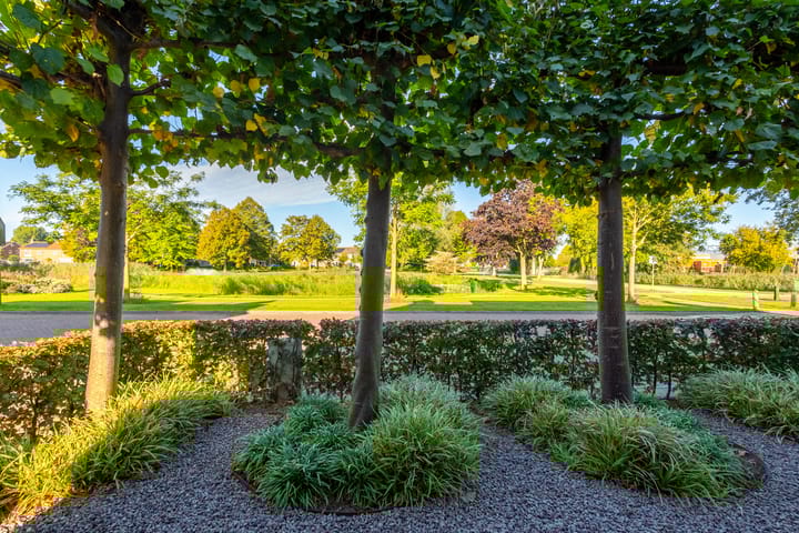 Foto 12 van Vijverstraat 12