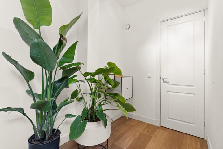 Foto 19 van Gerard Doustraat 182-H