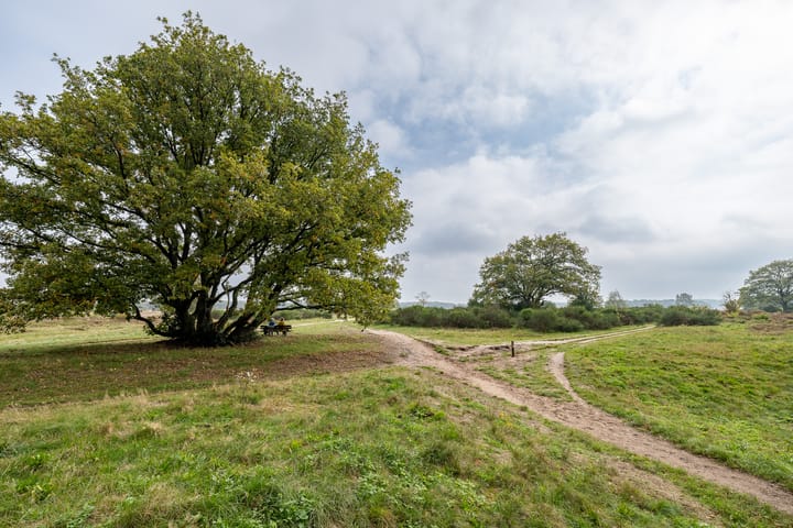 Foto 37 van Lange Heul 792
